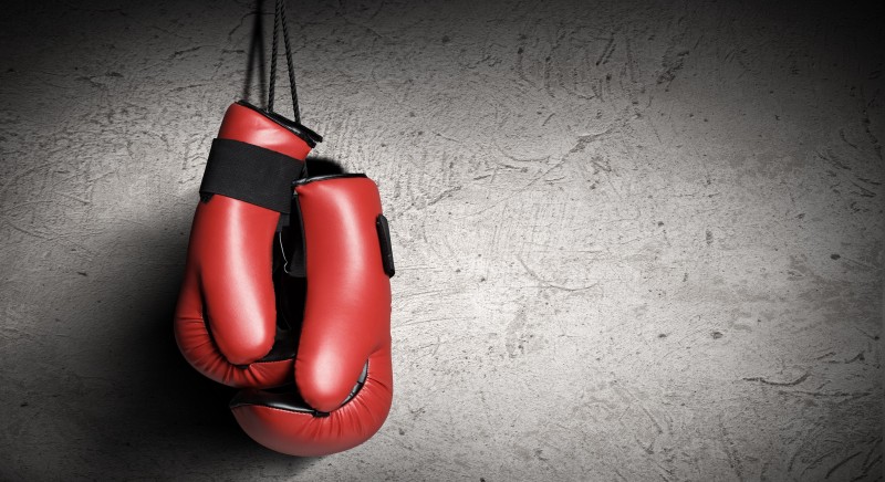 What Are The Best Boxing Gloves For Beginners?